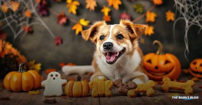 5 Healthy Homemade Halloween Treats for Your Pup