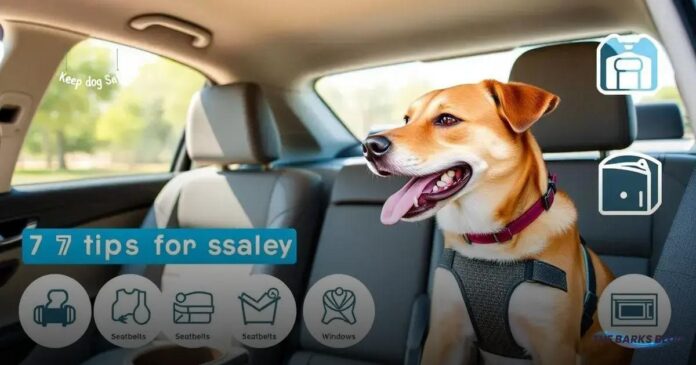 7 Essential Tips for Dog Car Safety You Must Know