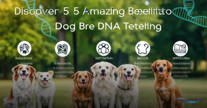 Discover 5 Amazing Benefits of Dog Breed DNA Testing