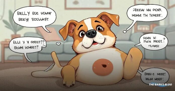 Do Dogs Have Belly Buttons? Discover the Truth!