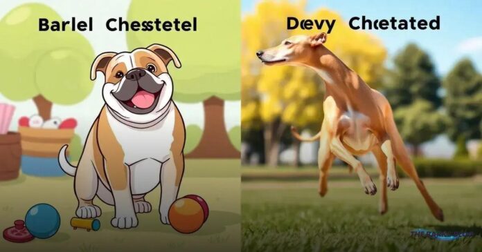 Dogs With Barrel Chests vs. Deep-Chested Dog Breeds