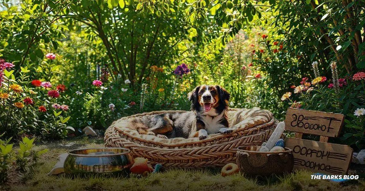 Eco-Friendly Dog Beds