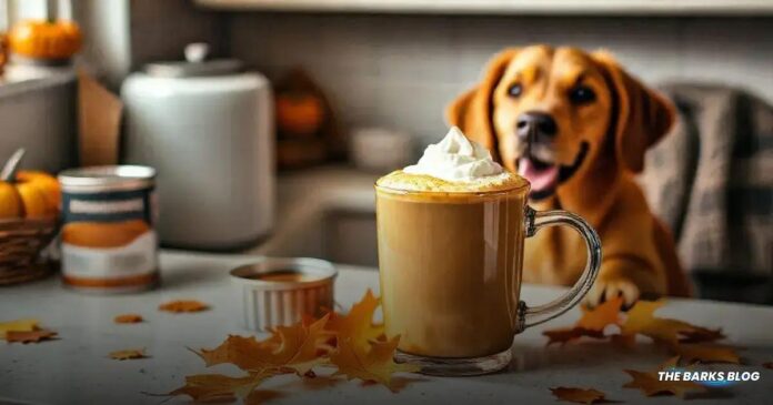 How to Make a Pumpkin Spice Latte for Dogs