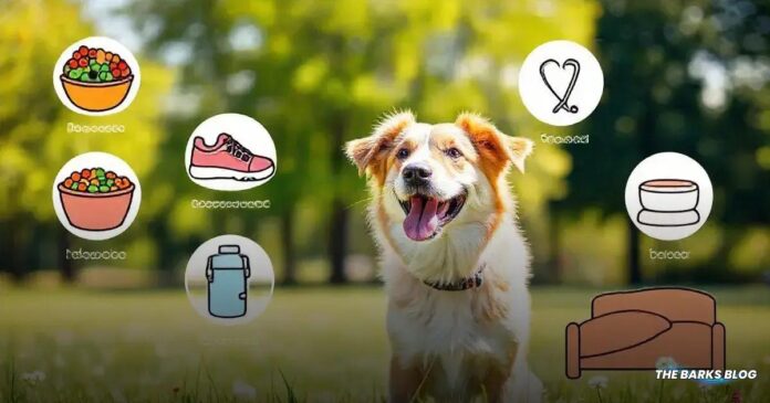 5 Simple Tips to Maximize Your Dog's Health