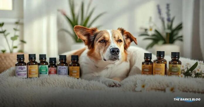 7 Essential Oils for Dogs to Calm Anxious Pets