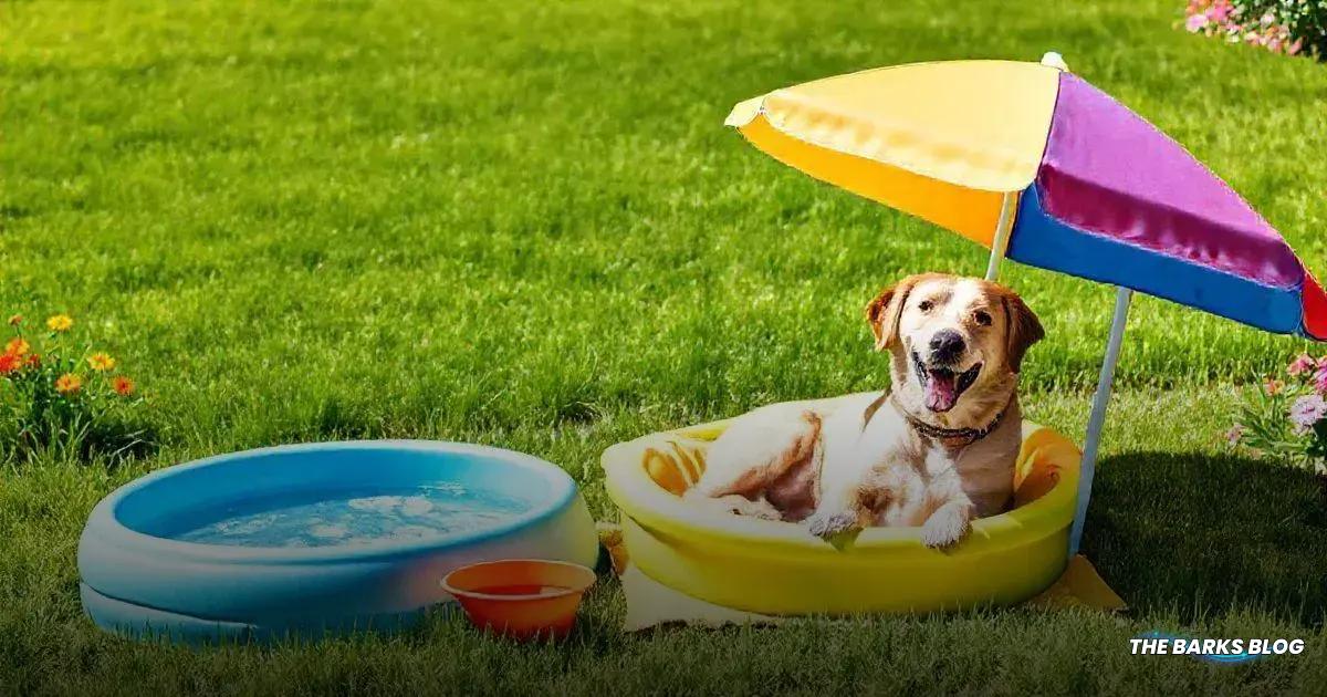 How to Keep Your Dog Cool at Home