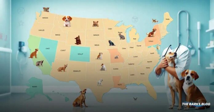 Top 10 States Where Veterinarians Are Most in Demand