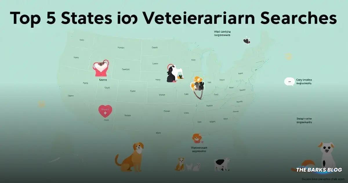 Top 5 States for Veterinarian Searches