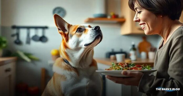 Why Do Dogs Beg For Food? Understanding Their Behavior